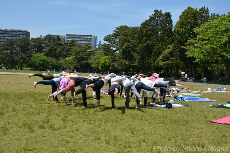 th_DSC_2991