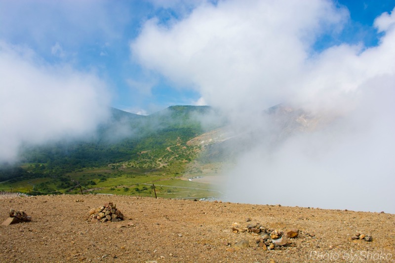 th_dsc_3807