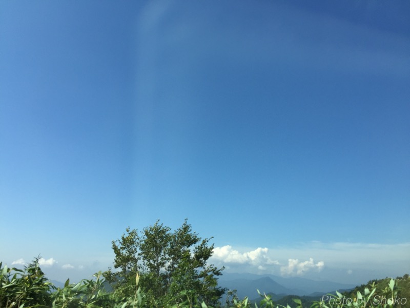 th_img_1941