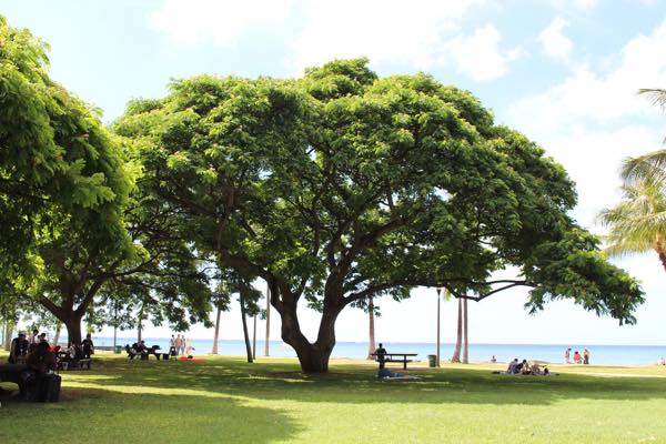 th_south-island-952801_1920