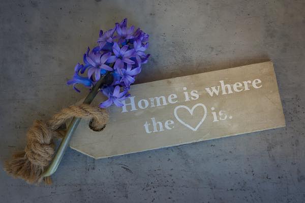 th_hyacinth-1369537_1280