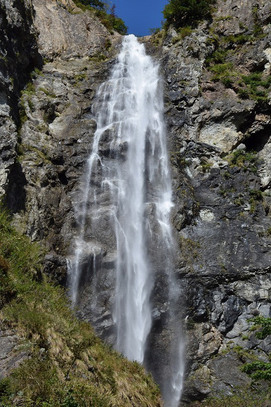DSC_0724.jpg