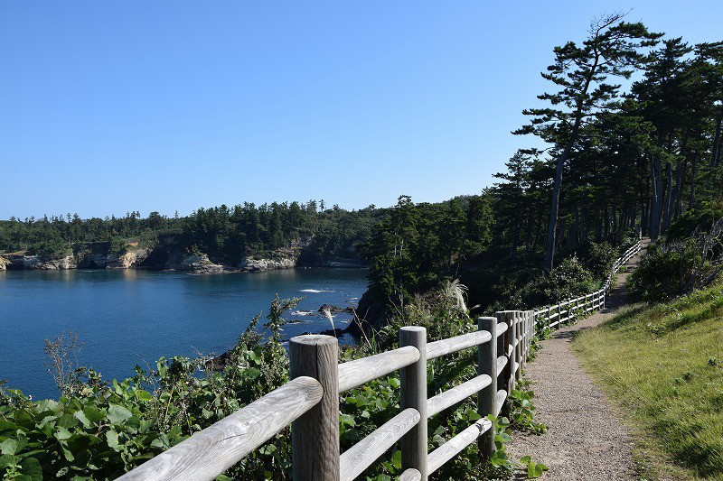 DSC_0778.jpg