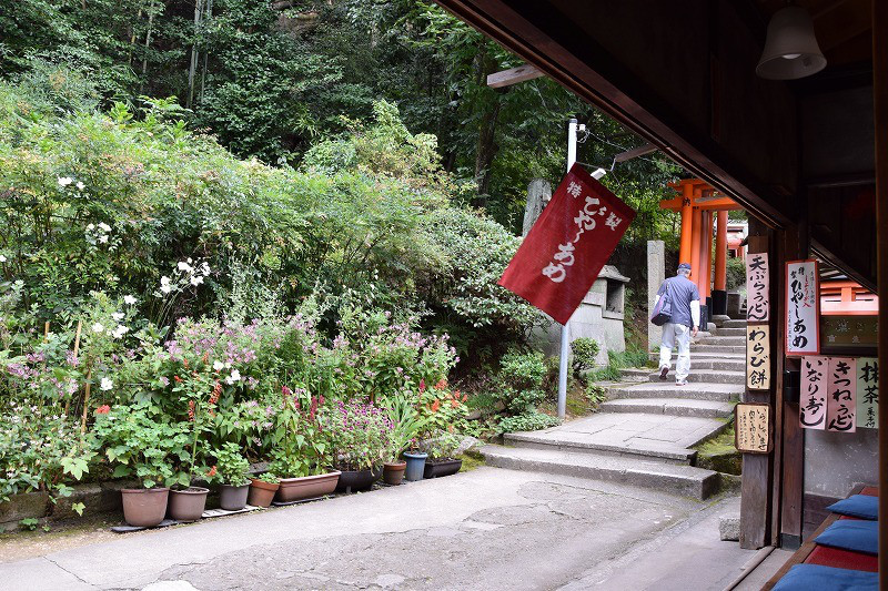 DSC_0892.jpg