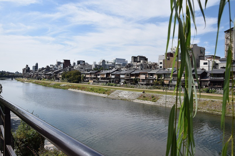 DSC_0920.jpg