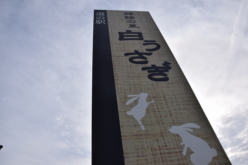 DSC_0062.jpg
