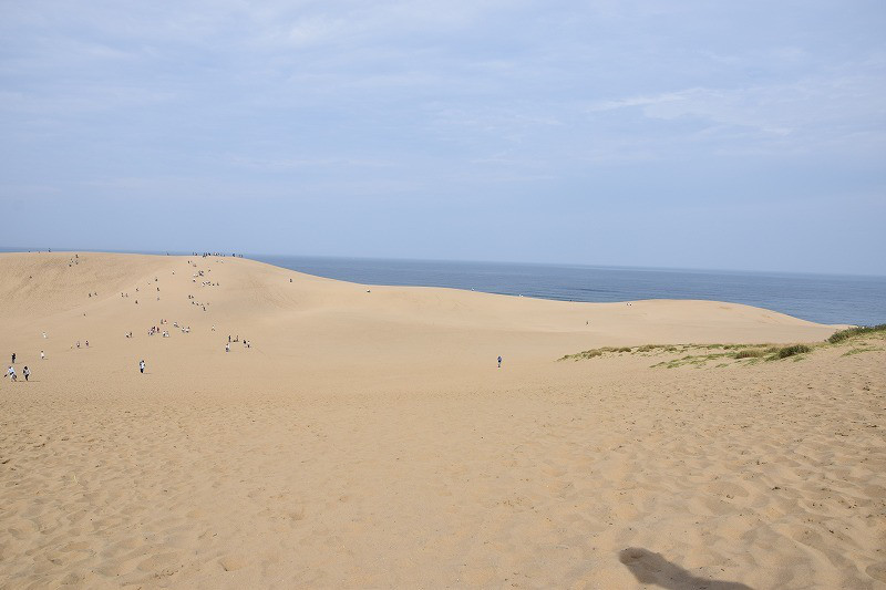 DSC_0068.jpg