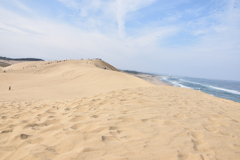 DSC_0088.jpg