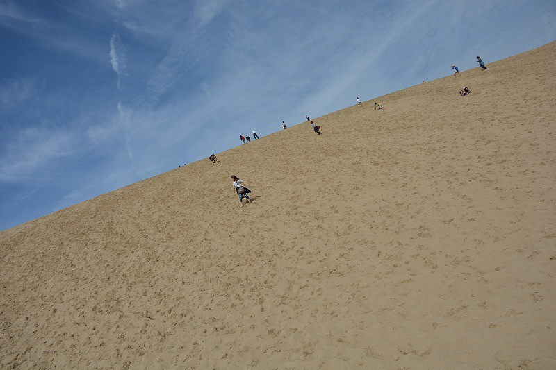DSC_4681.jpg
