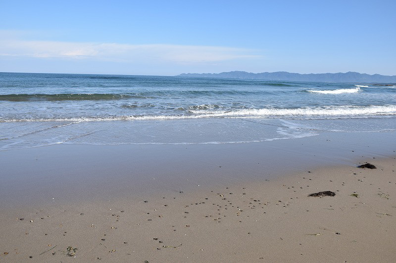 DSC_0381.jpg