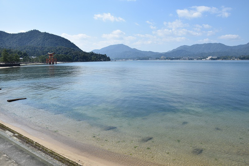 DSC_0513.jpg