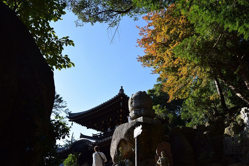 DSC_0626.jpg