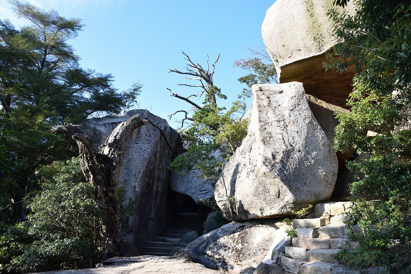 DSC_0639.jpg