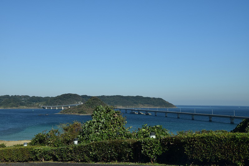 DSC_0689.jpg