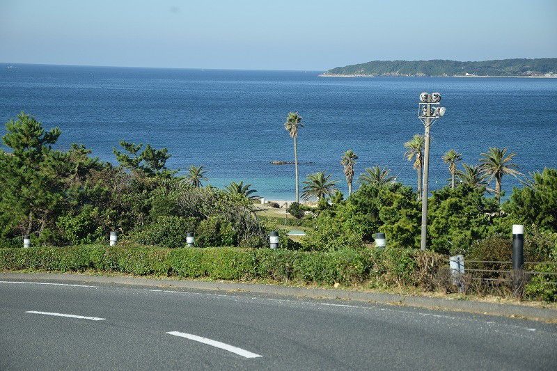 DSC_0690.jpg
