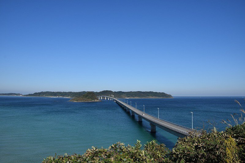 DSC_0732.jpg