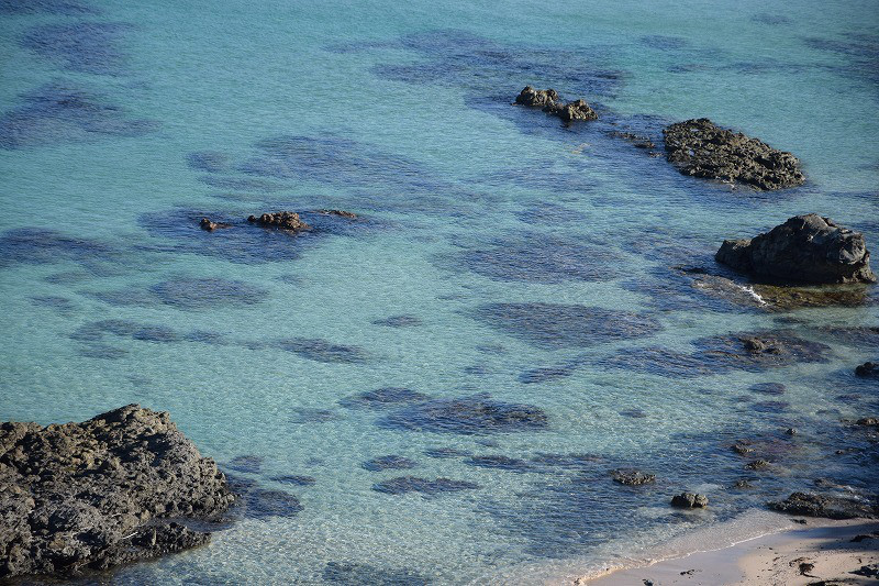 DSC_0736.jpg