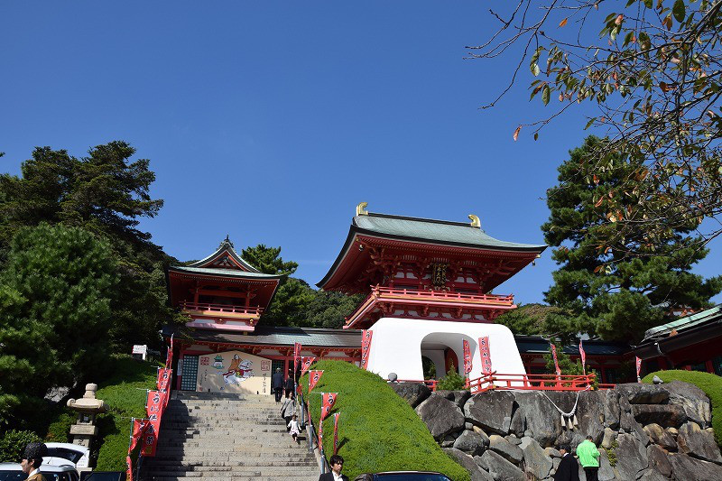 DSC_0801.jpg