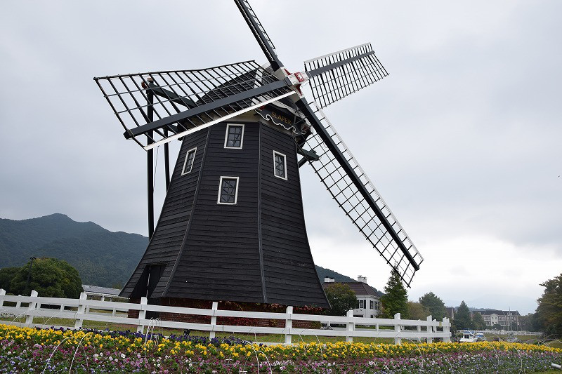 DSC_0928.jpg