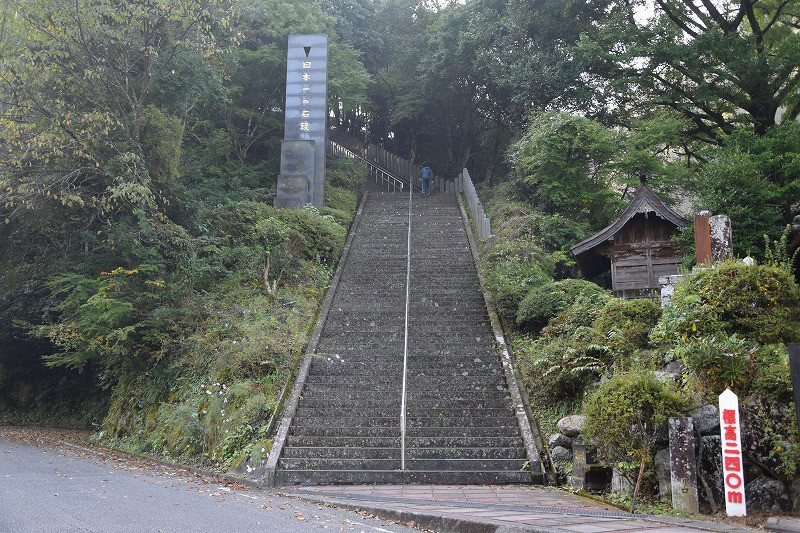 DSC_1482.jpg