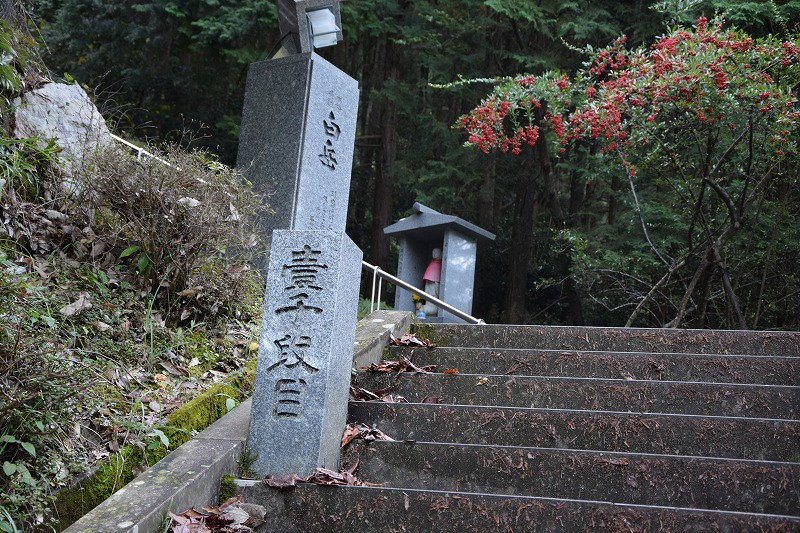 DSC_1503.jpg