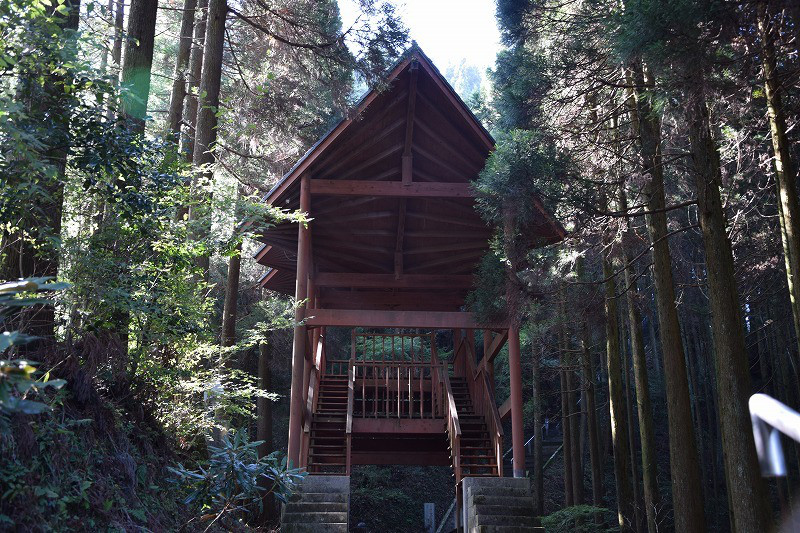 DSC_1530.jpg
