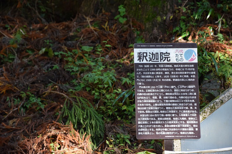 DSC_1559.jpg
