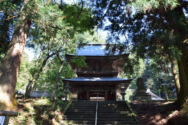 DSC_1558.jpg