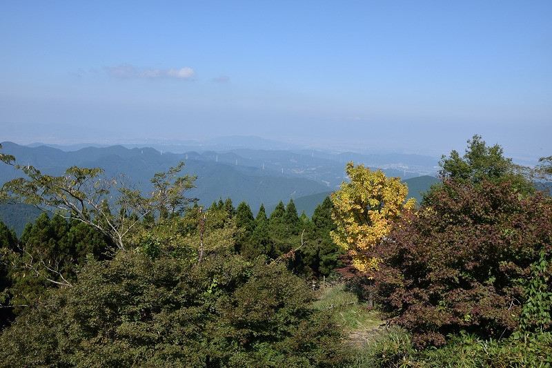 DSC_1561.jpg