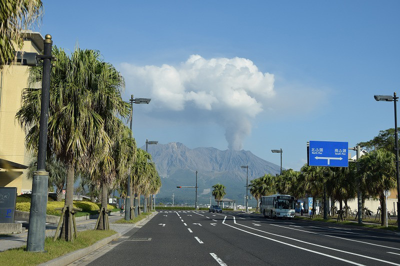 DSC_1575.jpg