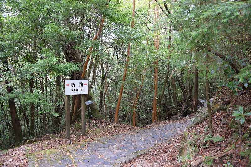 DSC_1928.jpg