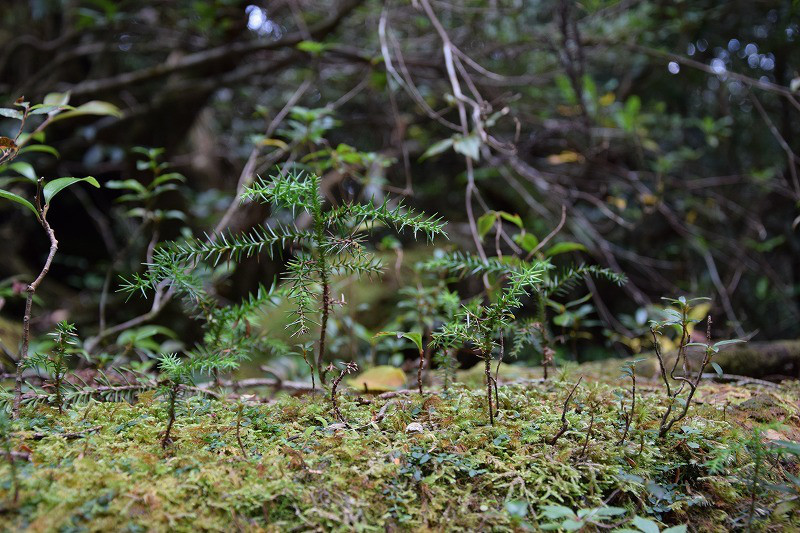 DSC_1932.jpg