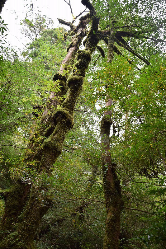 DSC_1935.jpg