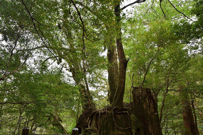 DSC_1940.jpg