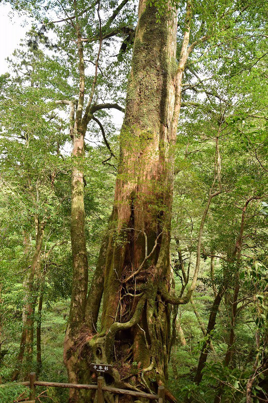 DSC_1943.jpg