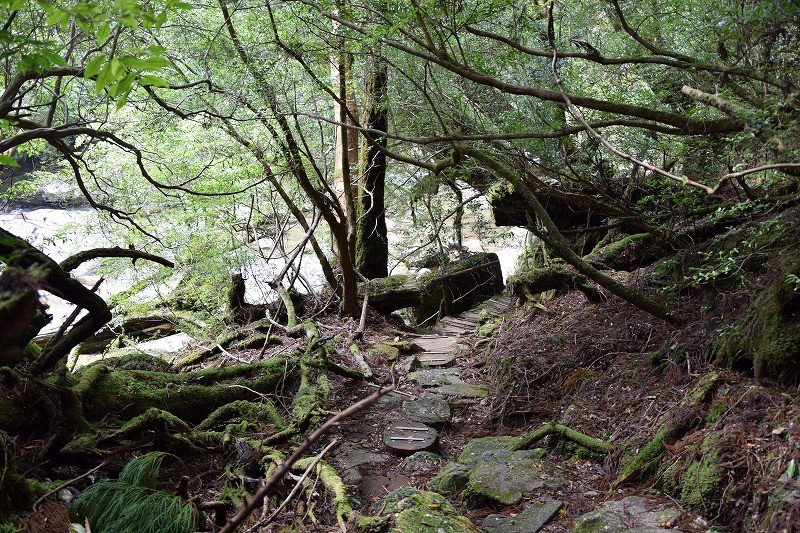DSC_1966.jpg