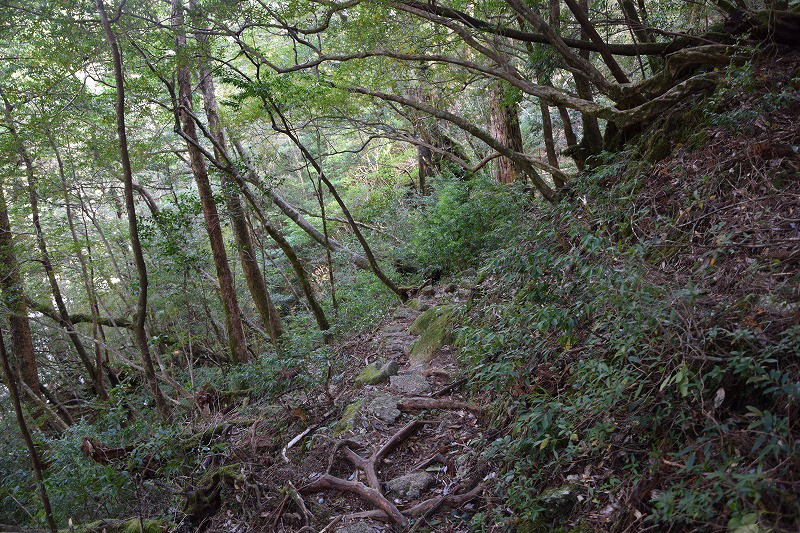 DSC_1980.jpg