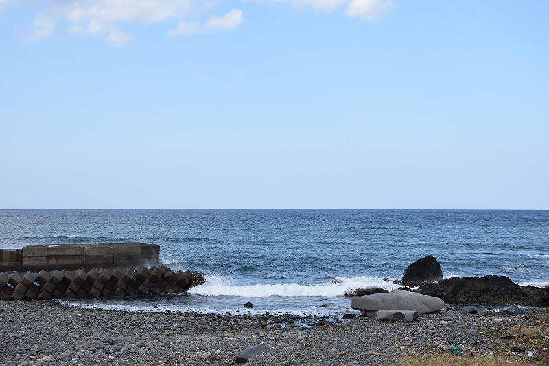 DSC_2020.jpg