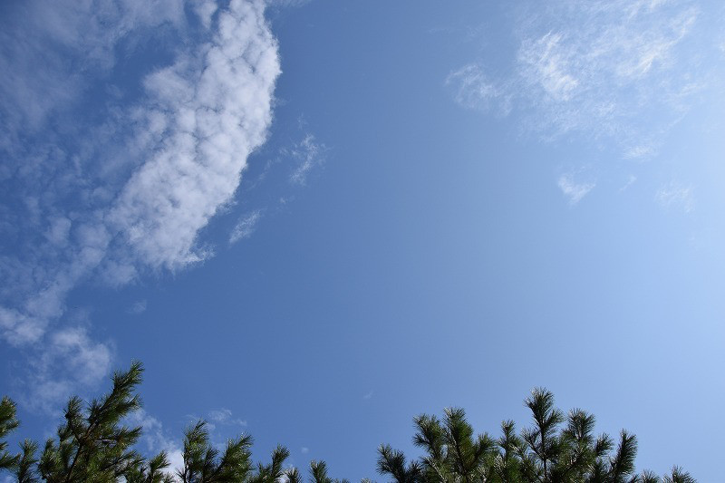 DSC_2364.jpg