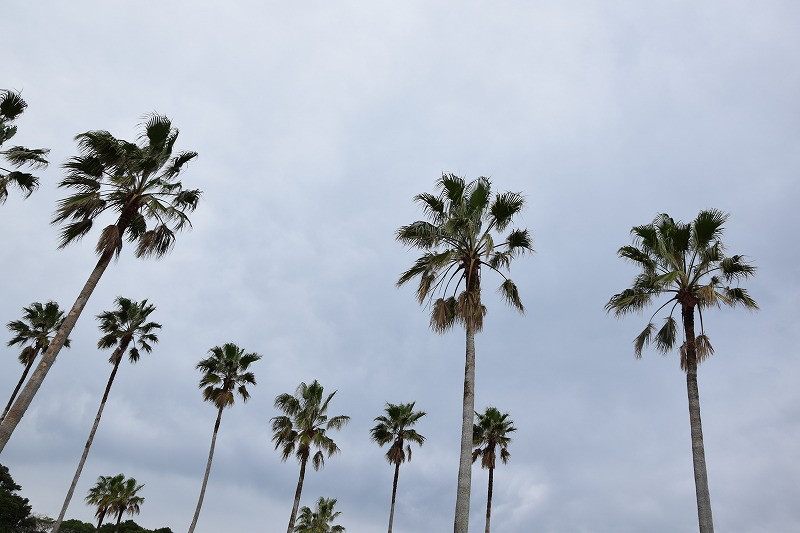 DSC_0003.jpg