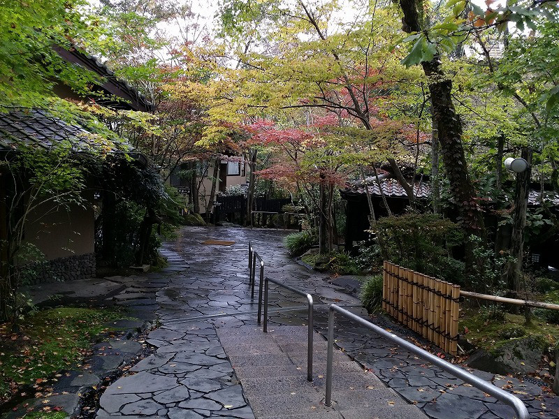 20141102_132343.jpg