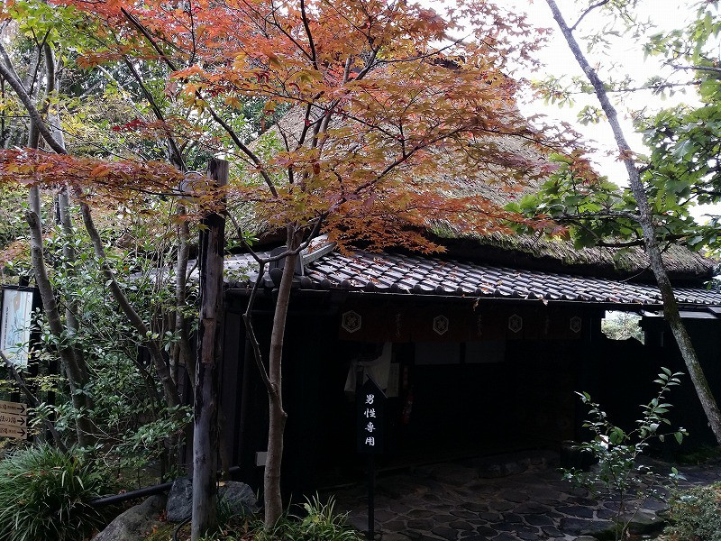 20141102_132359.jpg