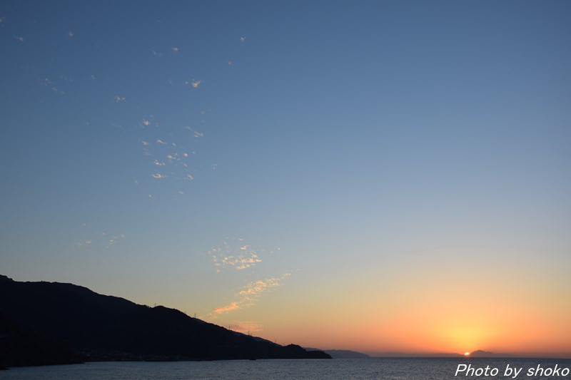 s-DSC_0246.jpg
