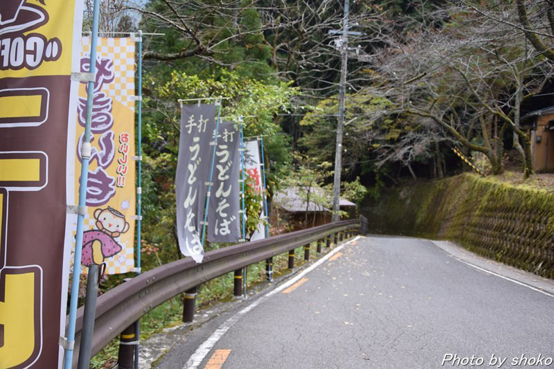 s-DSC_0528.jpg