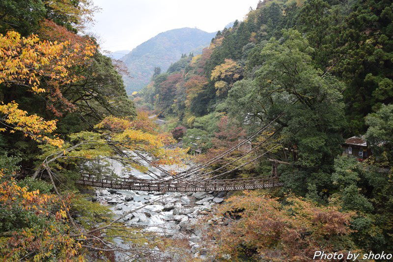 s-DSC_0532.jpg