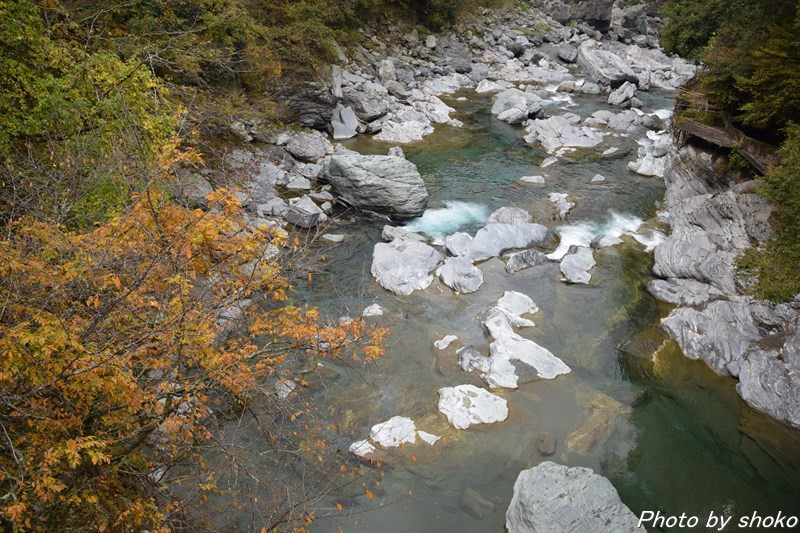 s-DSC_0530.jpg