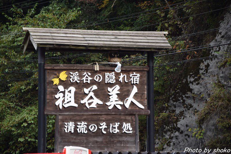 s-DSC_0620.jpg