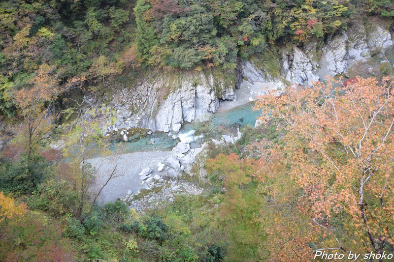 s-DSC_0618.jpg