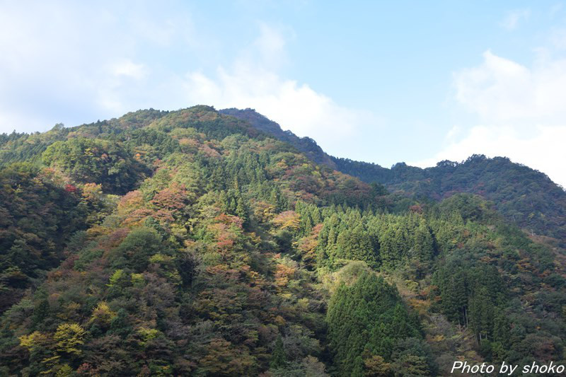 s-DSC_0613.jpg