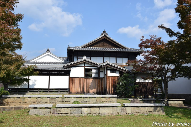 s-DSC_0633.jpg